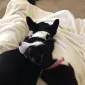 sunshinegurl17